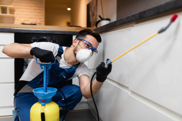 Best Pest Removal Services  in Towanda, PA