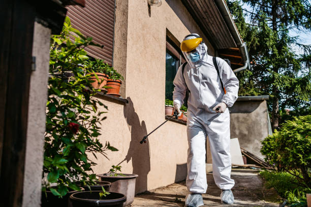 Best Affordable Pest Control Services  in Towanda, PA