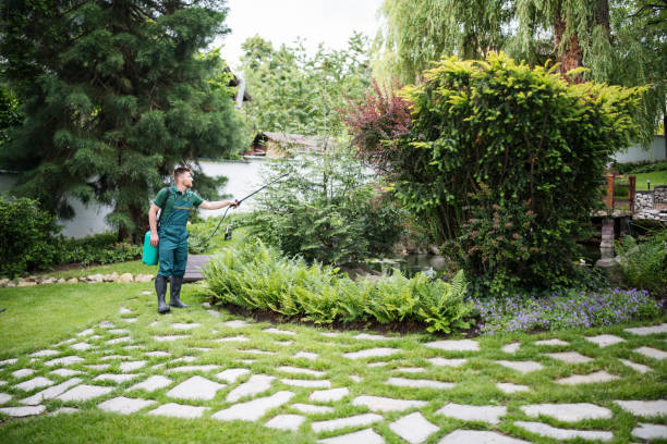 Best Pest Control Near Me  in Towanda, PA