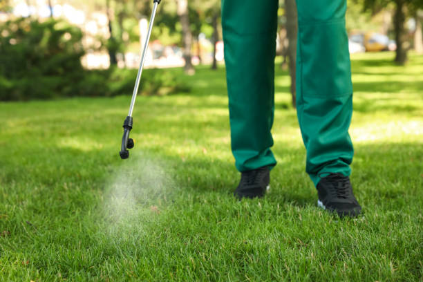 Best Flea Control Services  in Towanda, PA