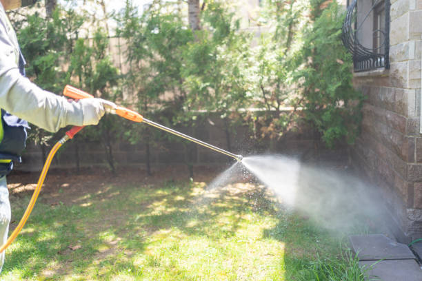 Best Insect Control  in Towanda, PA