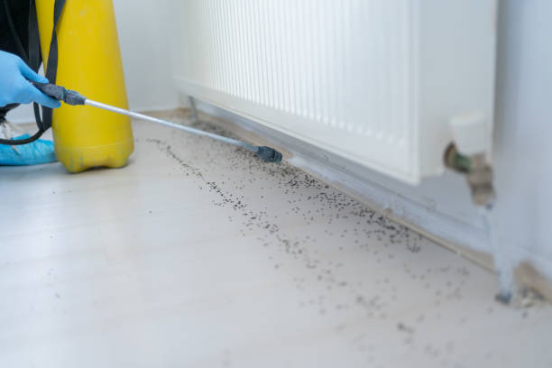 Best Pest Prevention Services  in Towanda, PA
