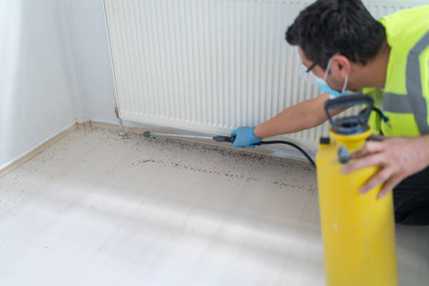 Best Pest Control for Restaurants  in Towanda, PA