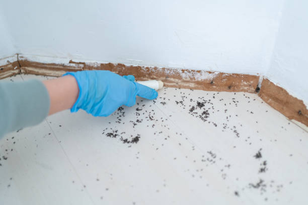 Best Exterminator Services  in Towanda, PA